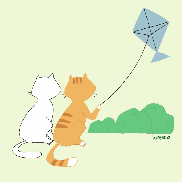 踏青采风放风筝,金普的春天就要这个feel!