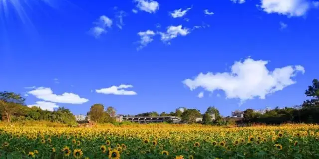 幼儿起名字,这7个因素一定要考虑!