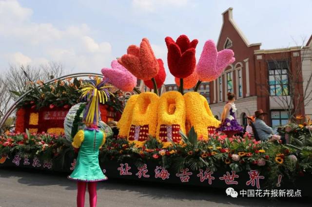 花海花车花乐园看荷兰花海演绎花海