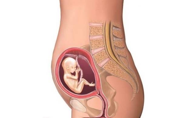 怀孕1-9个月孕妇肚子变化图,对照一下看宝宝发育正常吗!