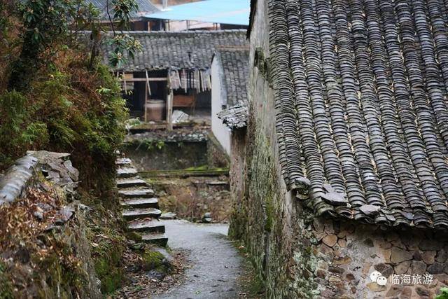 南蒋村位于临海沿江镇西南部,是沿江最高的山上村,因为处蒋家山山南