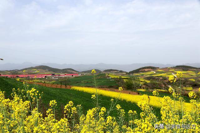 九,贯长路观花线(贯溪—长溪村 十,马溢路观花线(县城—马畅镇)