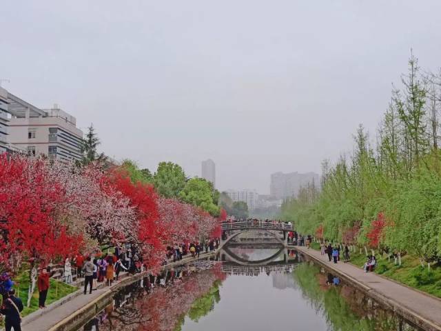 桃花潋滟,钗头凤飞—暨三峡大学桃花节_手机搜狐网