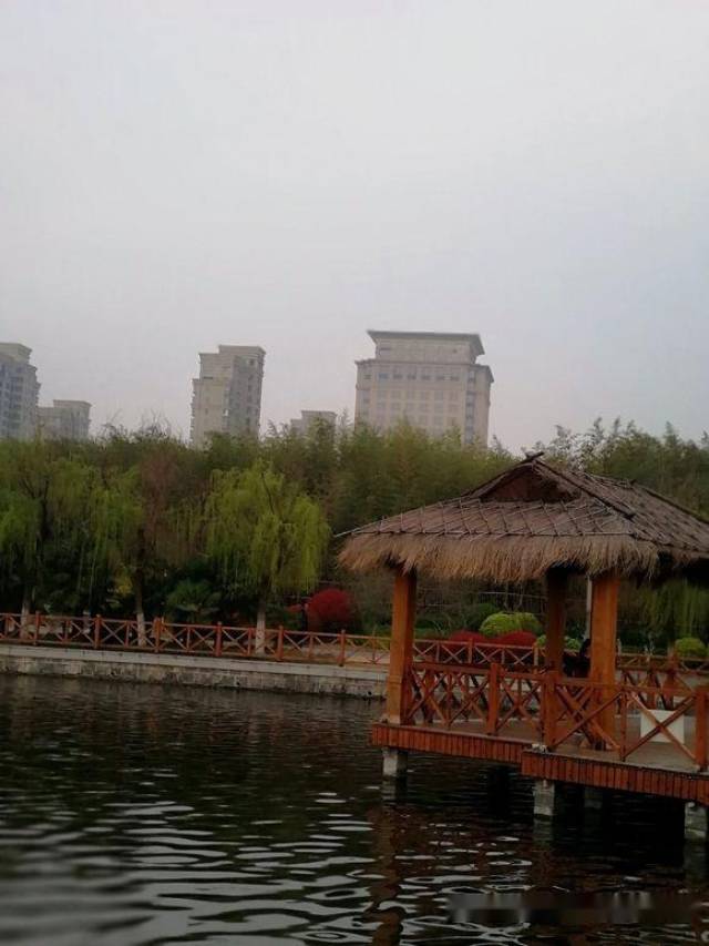 徐州金龙湖中心岛!很美啊!