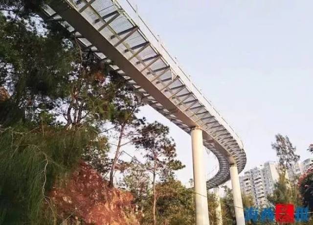 厦门健康步道即将建成!空中步道,樱花谷,时间就在