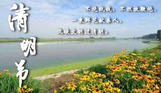文明祭扫,绿色清明——龙湾镇清明节移风易俗倡议书