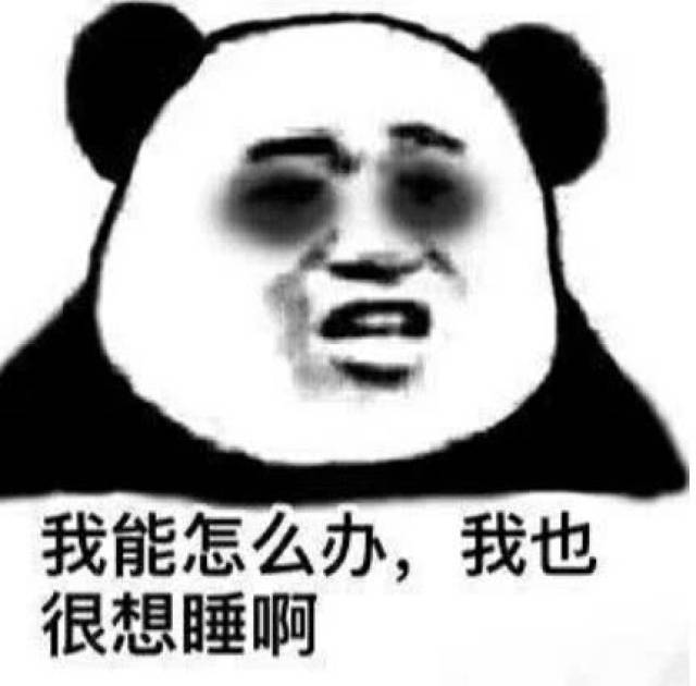 熊猫头熬夜党专用表情:我能怎么办?我也很想睡!
