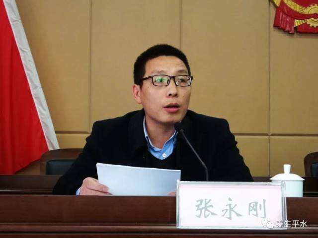 会上,平水镇党委副书记张永刚全面部署了此次扫黑除恶专项斗争攻坚战