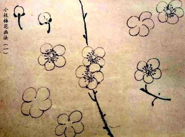 一笔画一瓣,5笔画梅花!画各种方向的花,看了没有学不会的!