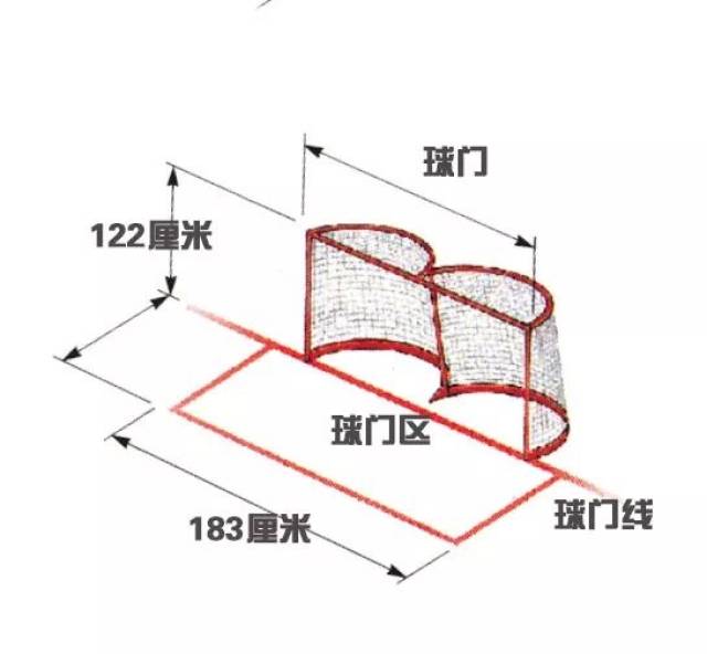 我们的身体系列冰上曲棍球冰球