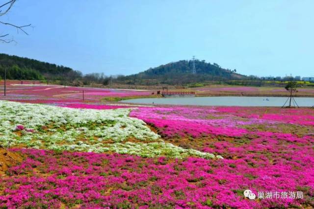 作为2019"醉美"巢湖赏花季"大湖春色游"线路之一,巢湖姥山岛景区山门