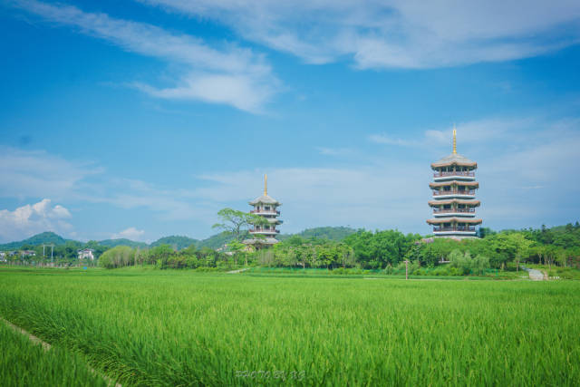 广西玉林市区内最好的旅游景点,被评为4a级景区却不收取门票!