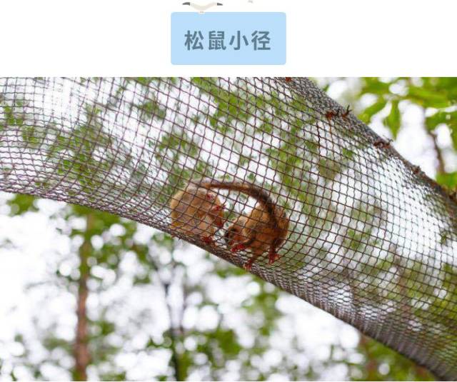 【成都-松鼠部落】玩转清明小长假!享受亲子好时光!