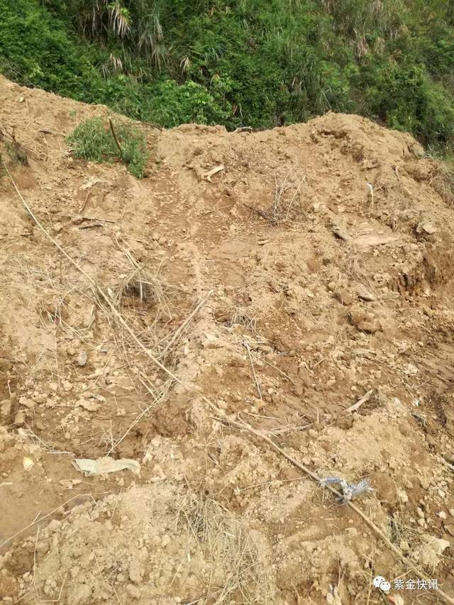 紫金这里大白天竟然有人大胆偷挖河沙.