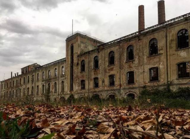 国家文化影响力排名,意大利排名世界第一!