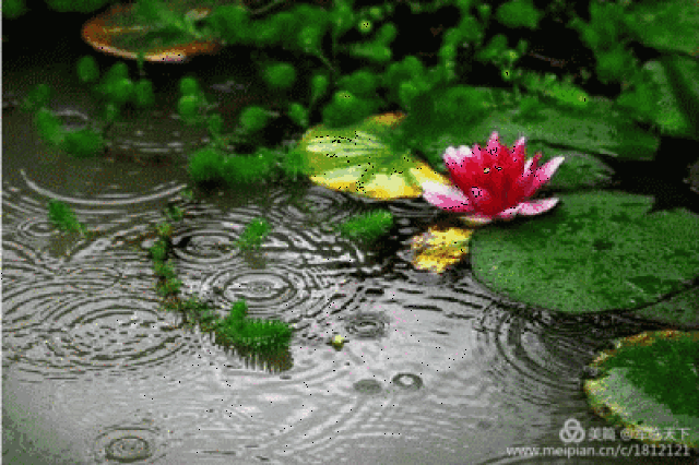 自在飞花轻似梦,无边丝雨细如愁!