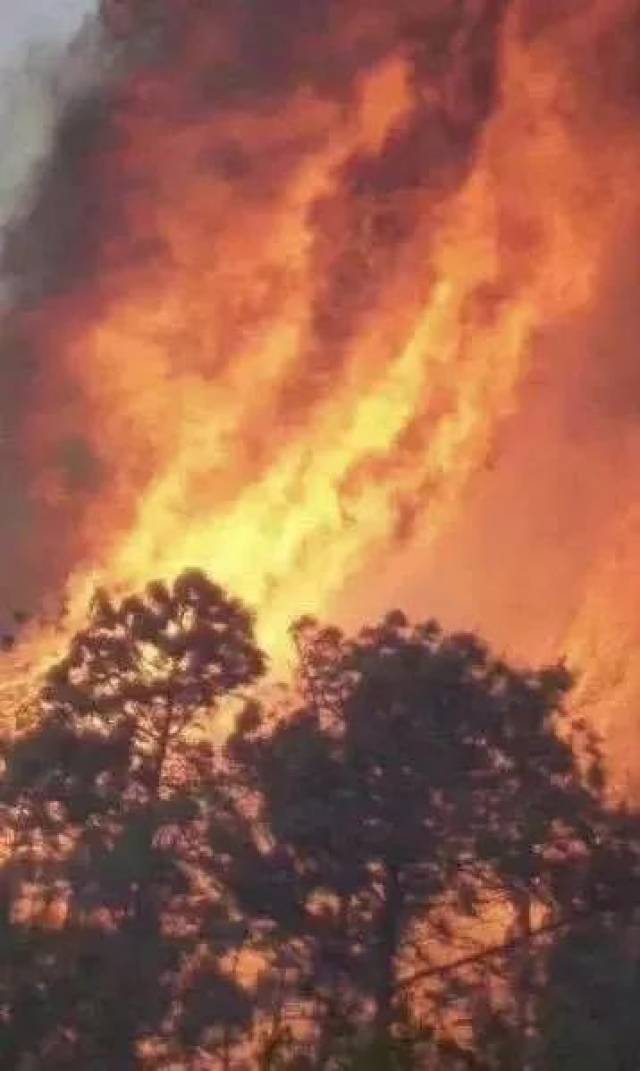 【热点新闻】四川山火爆燃,30名消防员遇难