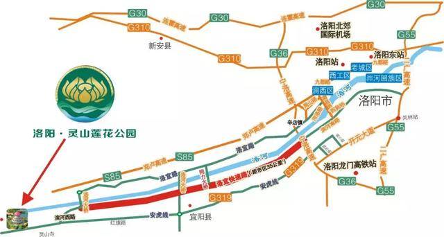 中国国花园,隋唐城遗址植物园,王城公园,国家牡丹园,神州牡丹园等10家