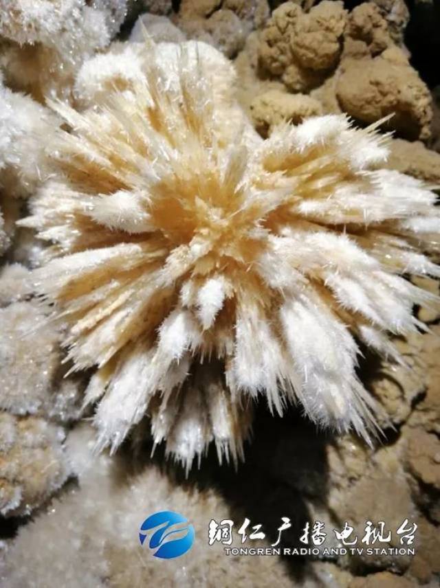 铜仁新发现的这个世界级石花溶洞,美爆了!