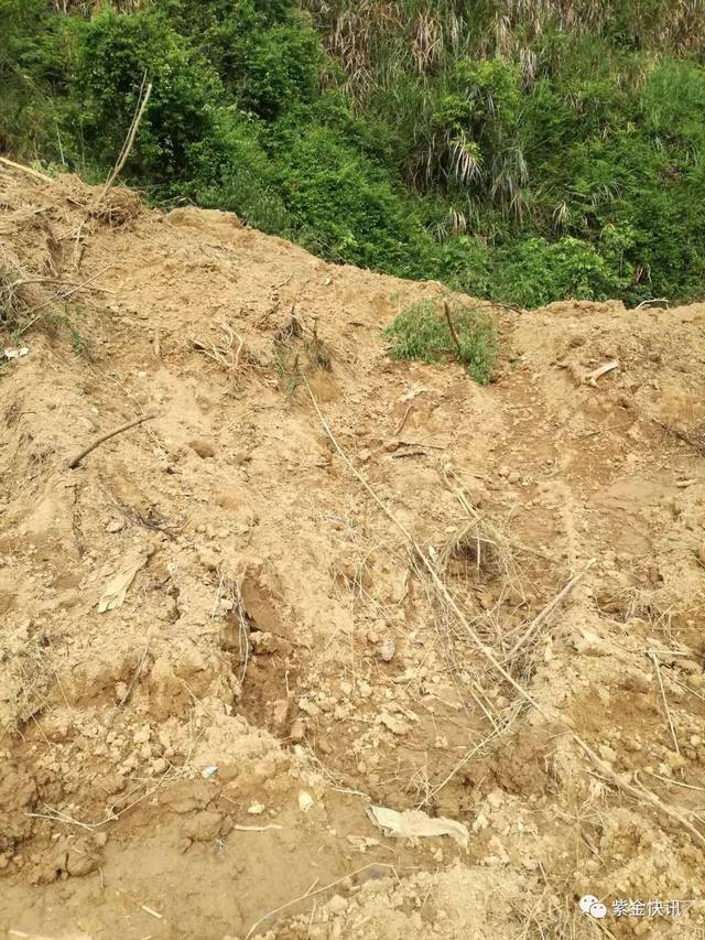 紫金这里大白天竟然有人大胆偷挖河沙.