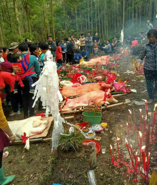 02 三月三传统习俗  祭祖扫墓 扫墓节是壮族一年中最隆重庄严的节日