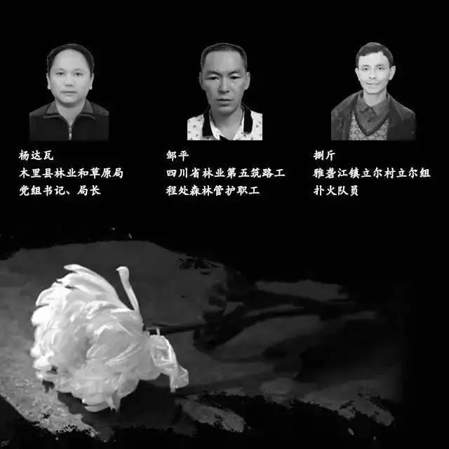 “无人区”?“几棵树”?森林消防员灭火牺牲没必要?