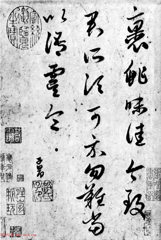 王羲之草书《裹鮓帖》赵孟頫临本三种