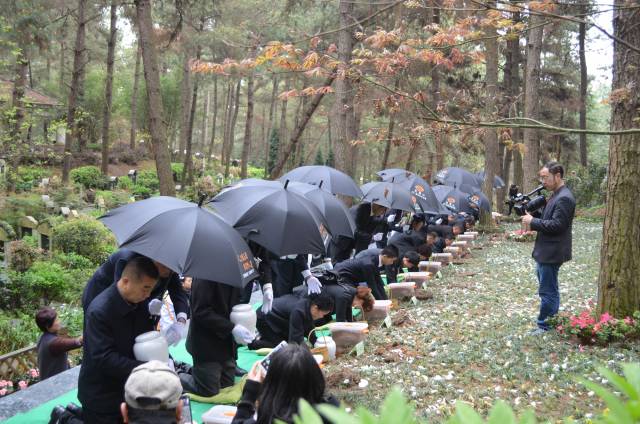 贵阳凤凰山公墓2019清明公祭祈福暨节地生态安葬仪式圆满礼成