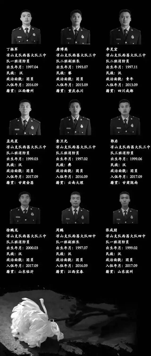 “无人区”?“几棵树”?森林消防员灭火牺牲没必要?