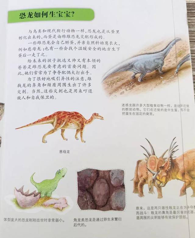 还有一些有趣的知识点,比如恐龙是怎么生宝宝的.