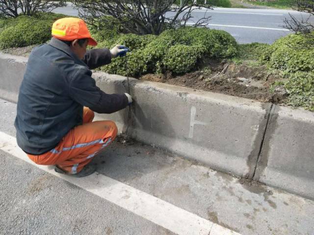 图为:江都区公路部门迅速整修264省道路缘石