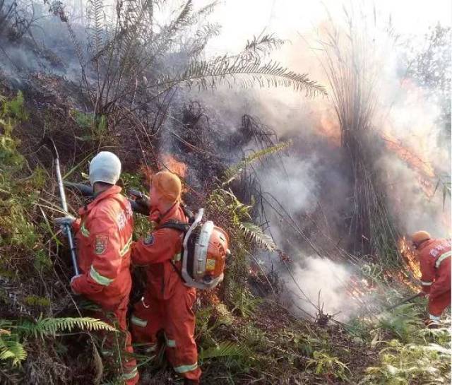 四川森林火灾致30人遇难!清明将至,请新兴人勿忘消防安全!