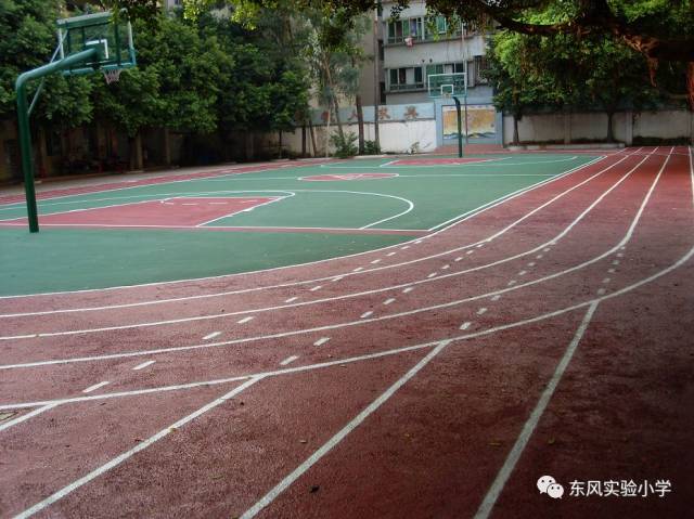 广州市天河区东风实验小学 2019年秋季学期招生简章