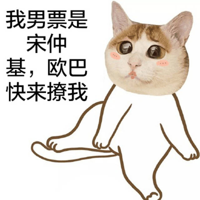 猫头宋仲基表情包_手机搜狐网