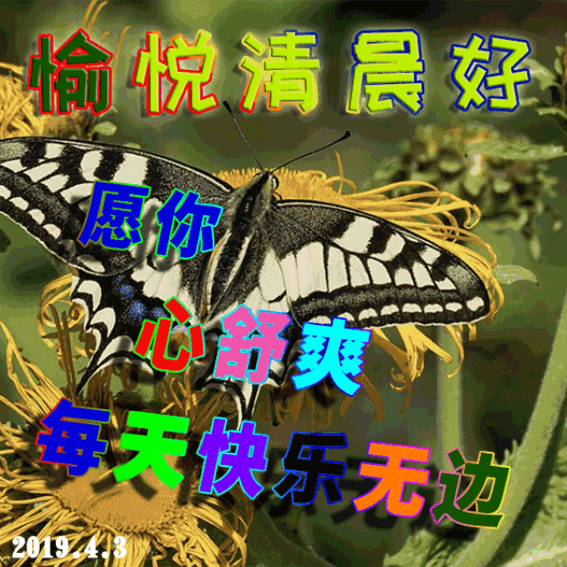 阳春四月早上好祝福语图片 早上好问候表情动图