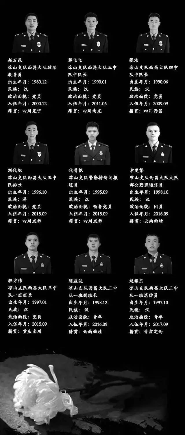 “无人区”?“几棵树”?森林消防员灭火牺牲没必要?