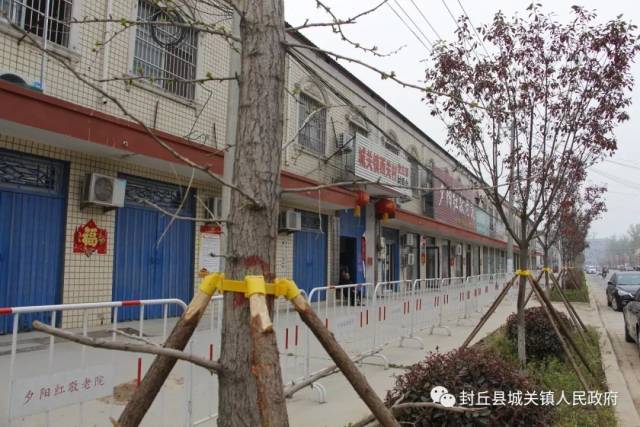 大动作!封丘城关镇投资800万元全域绿化 ,打造"花海封丘"!