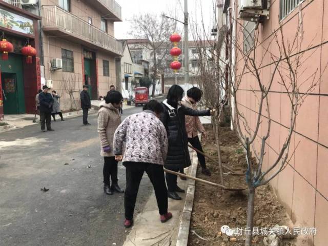 大动作!封丘城关镇投资800万元全域绿化 ,打造"花海封丘"!