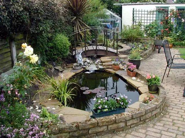 如果你有个院子,一定要有个水池!