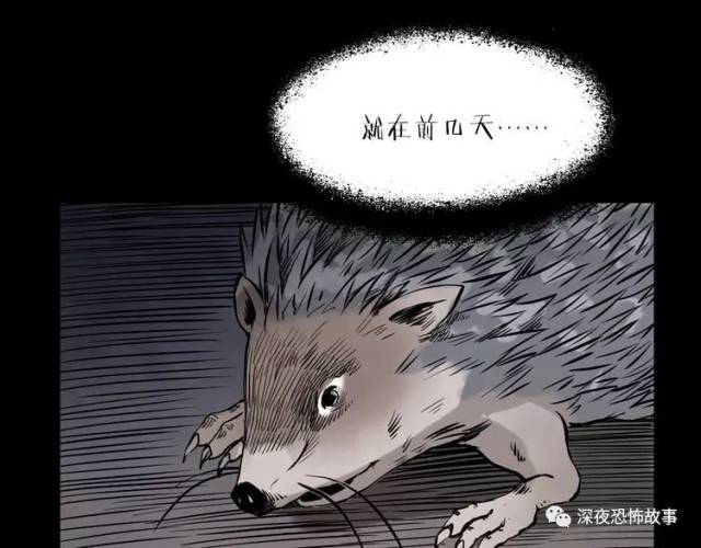 枪爷异闻录丨我的师傅阎老九之山神庙中的诡影