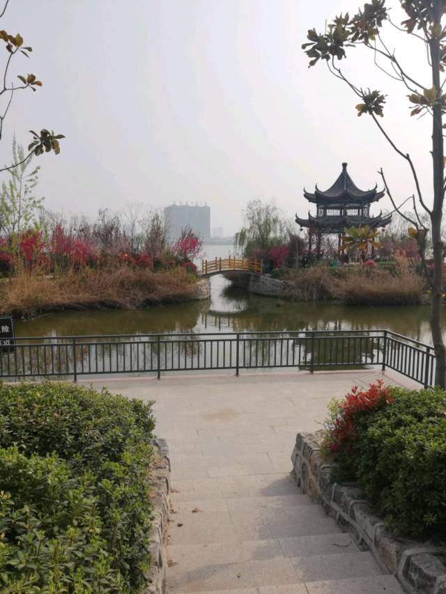 "行走在睢县北湖,湿地公园,襄园等县城内,处处百花齐放,百鸟争鸣.