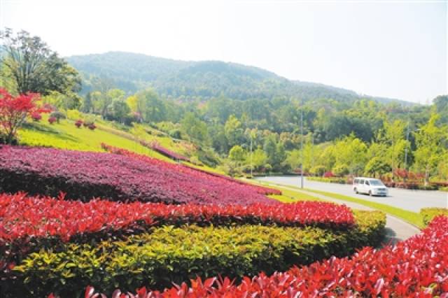 铁山坪街道:整治促提升 处处景色新