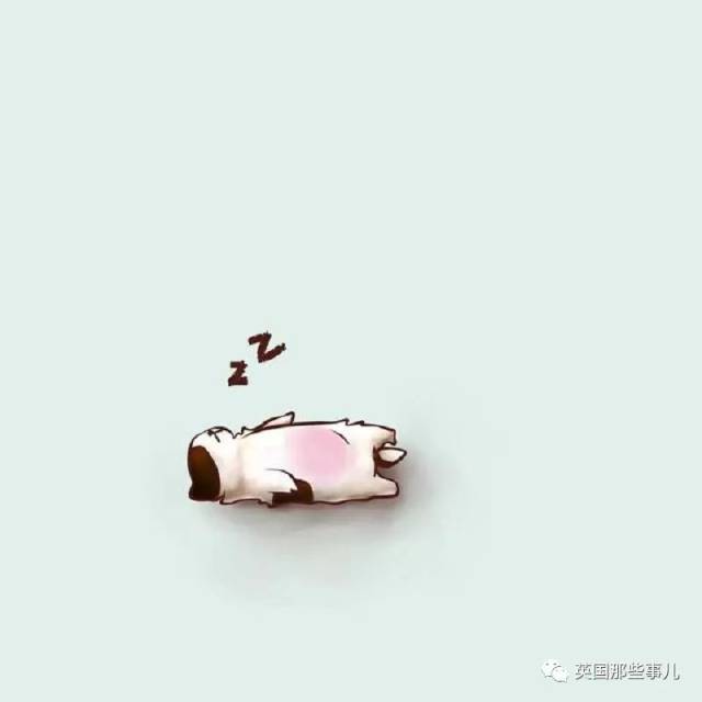 【1024·可爱】小奶狗一睡觉就成了躺尸,这睡相萌得让人流泪啊!