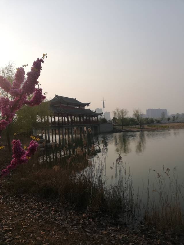"行走在睢县北湖,湿地公园,襄园等县城内,处处百花齐放,百鸟争鸣.