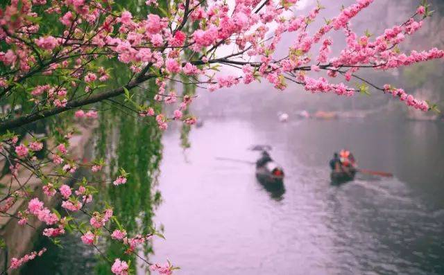 正是江南好风景,落花时节又逢君