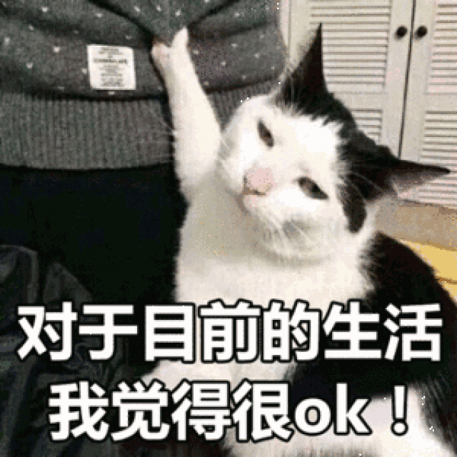 你生平用过最沙雕的表情包是什么?