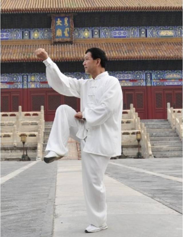 形意拳和八极拳在实战搏击中哪个更强,哪种拳法更适合