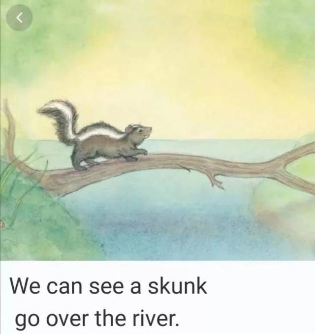 we can see   skunk go over the river 我们可以看到一只臭鼬在过河.