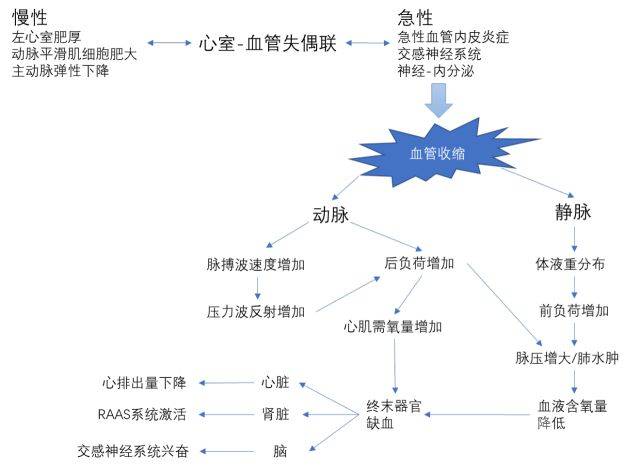 1. 高血压性心力衰竭的病理生理 两种机制治疗上的差异