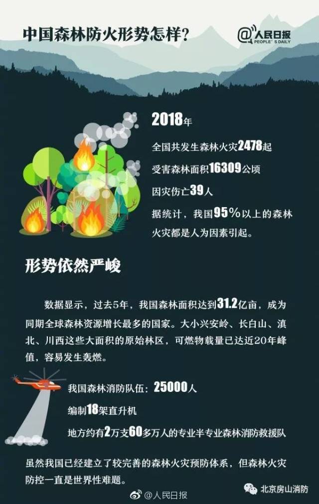 什么是林火爆燃?原因是什么?